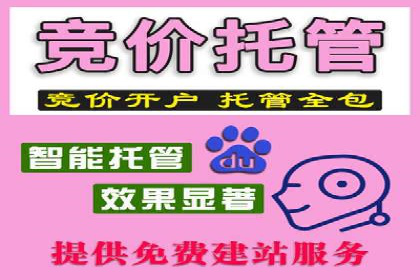 某电商平台的SEM服务全解析